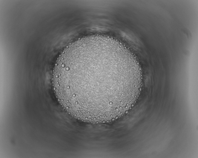 X0000113891397200910221407
