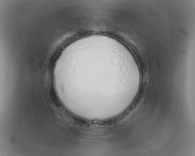 X0000113891398200910221407