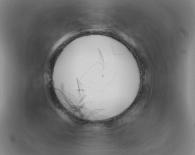 X0000113891400200910221407