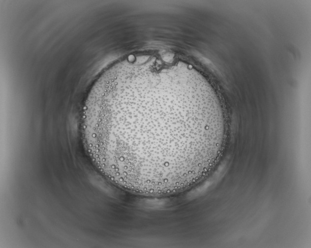 X0000113891401200910221407