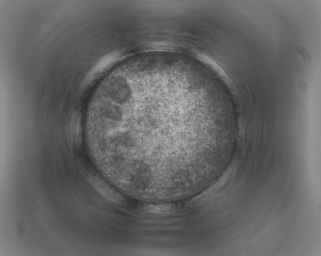 X0000113891403200910221407