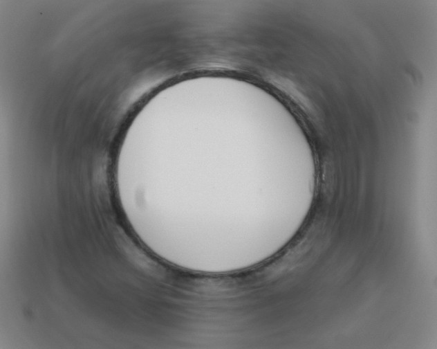 X0000113891404200910221407