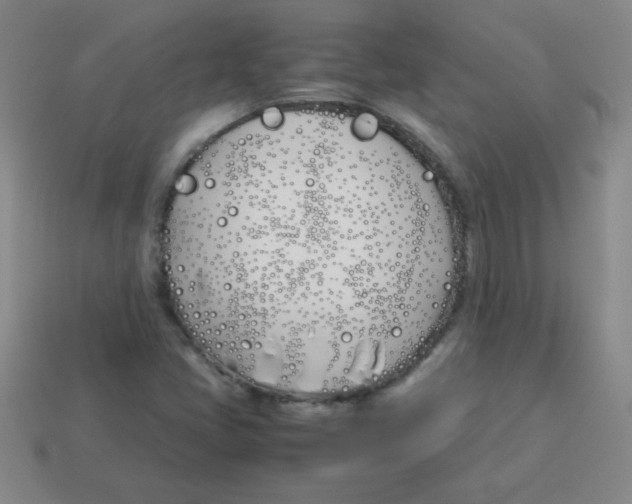 X0000113891405200910221407