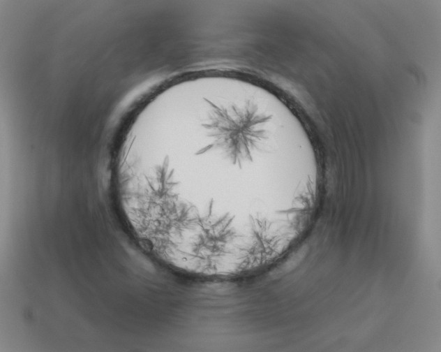 X0000113891406200910221407