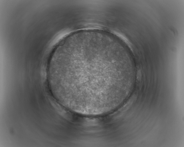 X0000113891407200910221407