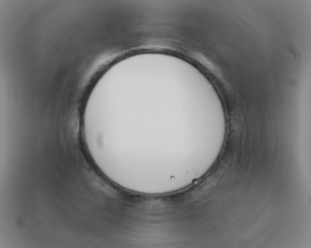 X0000113891408200910221407