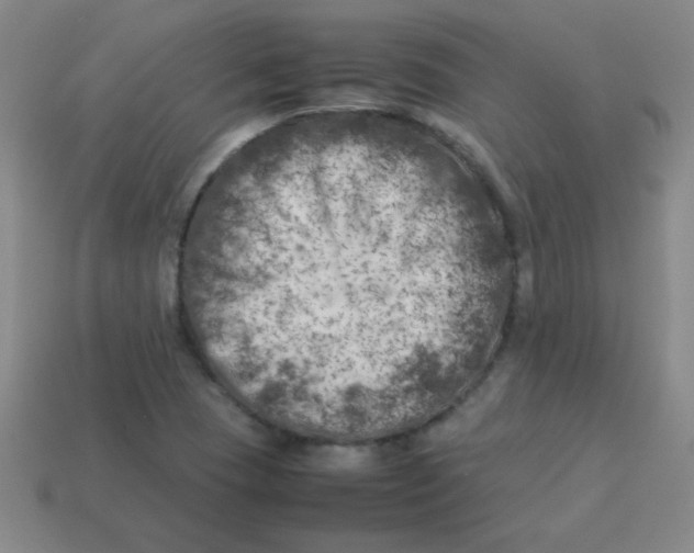 X0000113891409200910221407