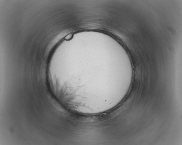 X0000113891410200910221407