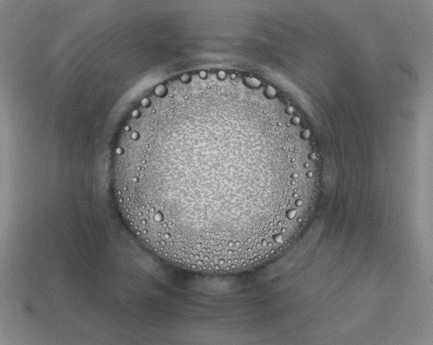 X0000113891411200910221407