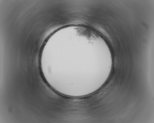 X0000113891412200910221407