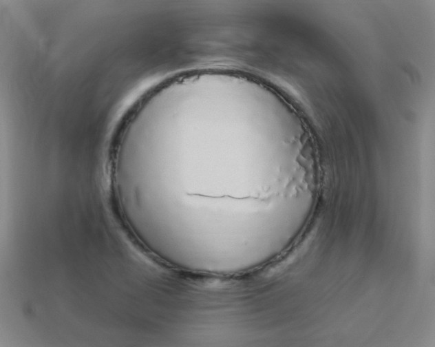 X0000113891414200910221407