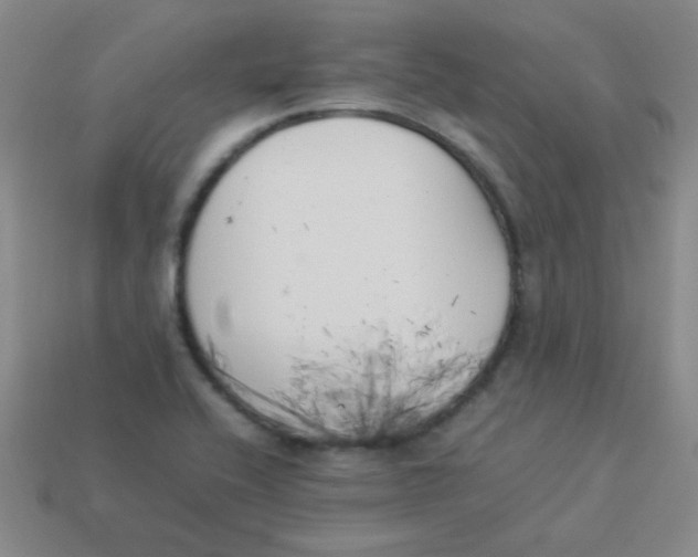 X0000113891416200910221407