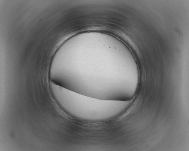 X0000113891417200910221407