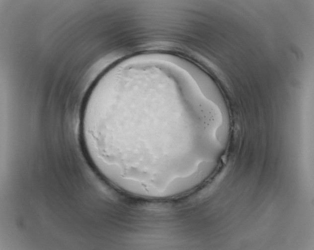 X0000113891418200910221407