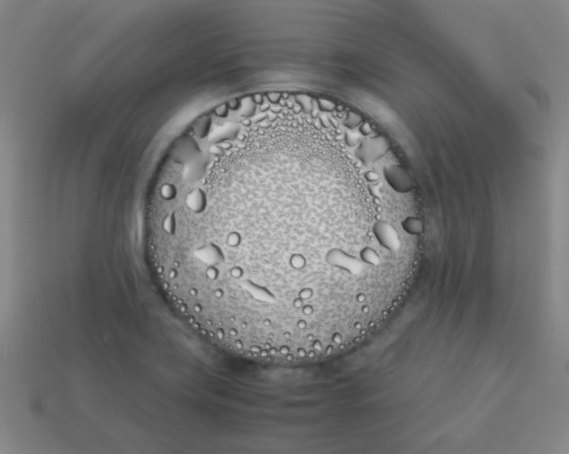 X0000113891419200910221407