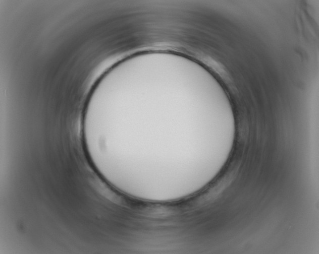 X0000113891420200910221407