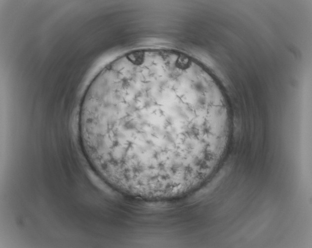 X0000113891421200910221407