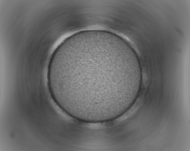 X0000113891422200910221407