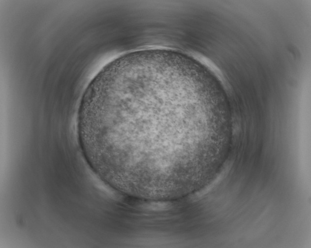 X0000113891423200910221407