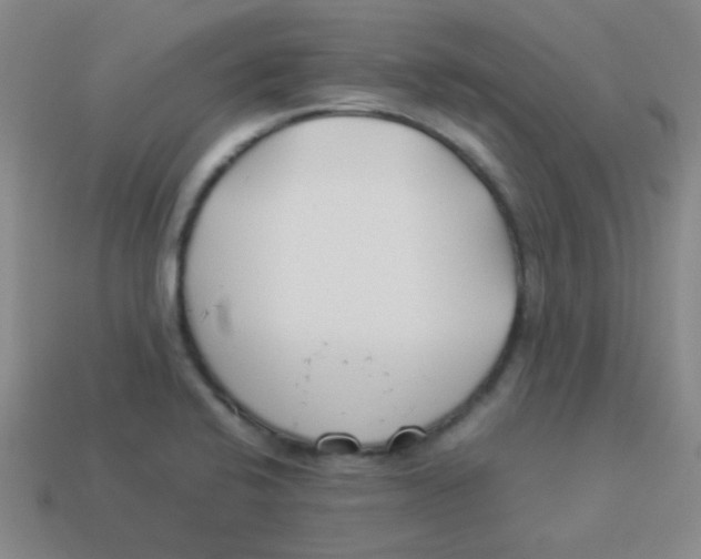 X0000113891424200910221407