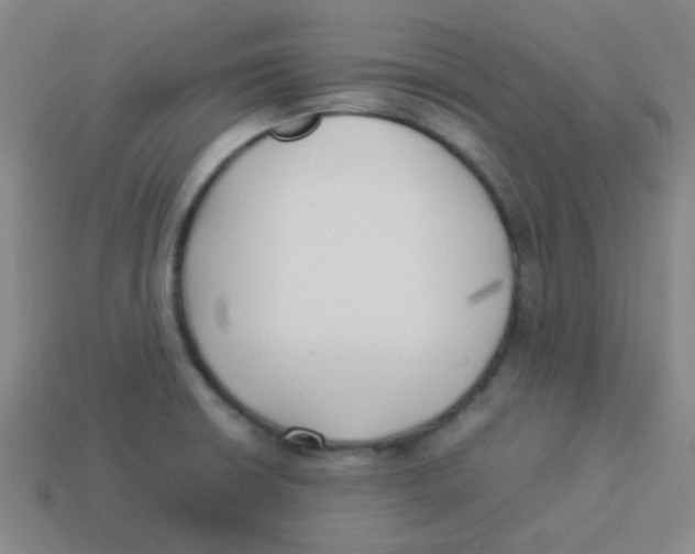 X0000113891426200910221407