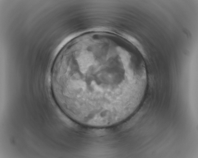 X0000113891428200910221407
