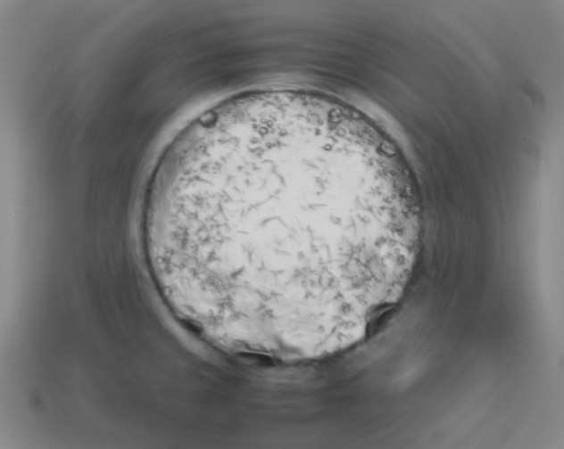 X0000113891429200910221407