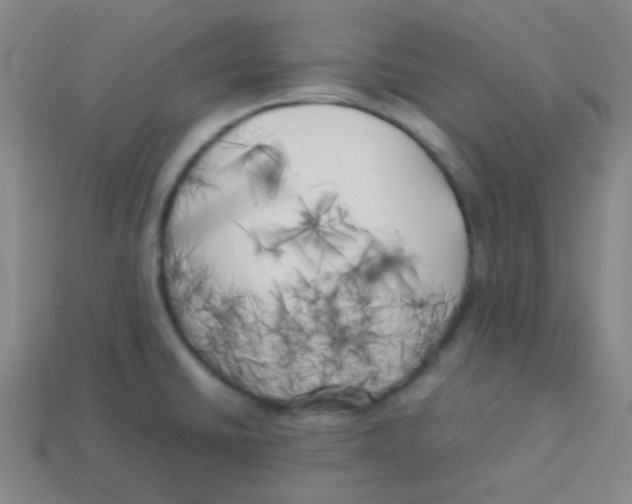 X0000113891430200910221407