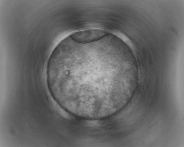 X0000113891431200910221407