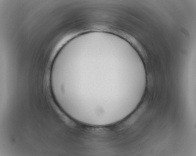 X0000113891432200910221407