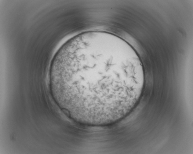 X0000113891436200910221407
