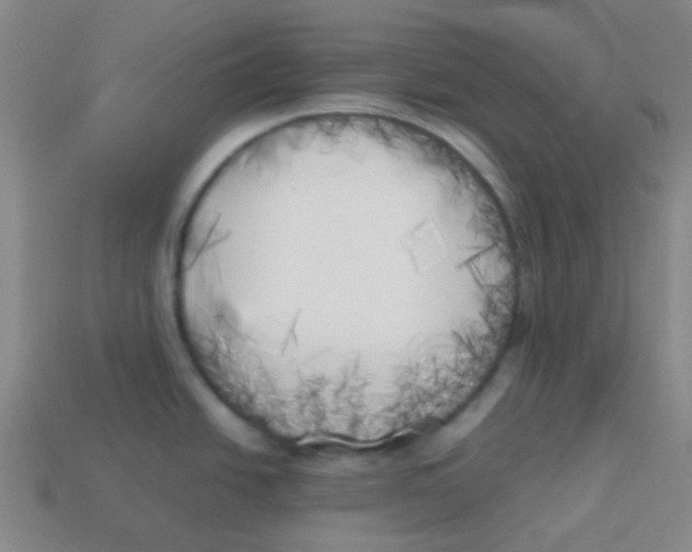 X0000113891438200910221407