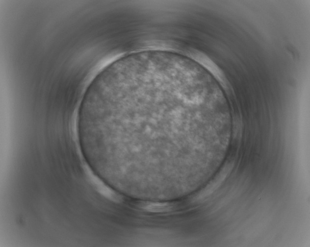 X0000113891439200910221407