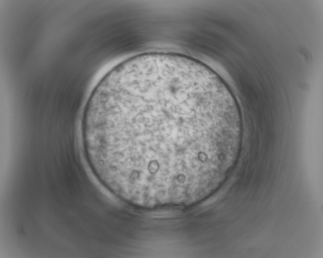 X0000113891440200910221407