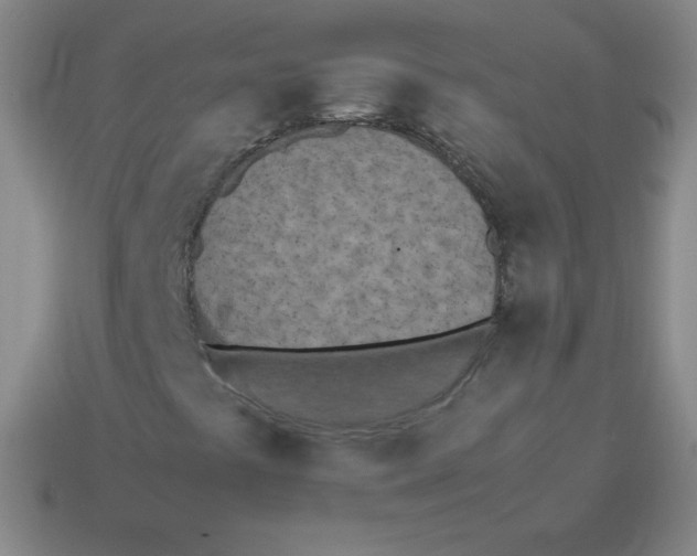 X0000113891441200910221407