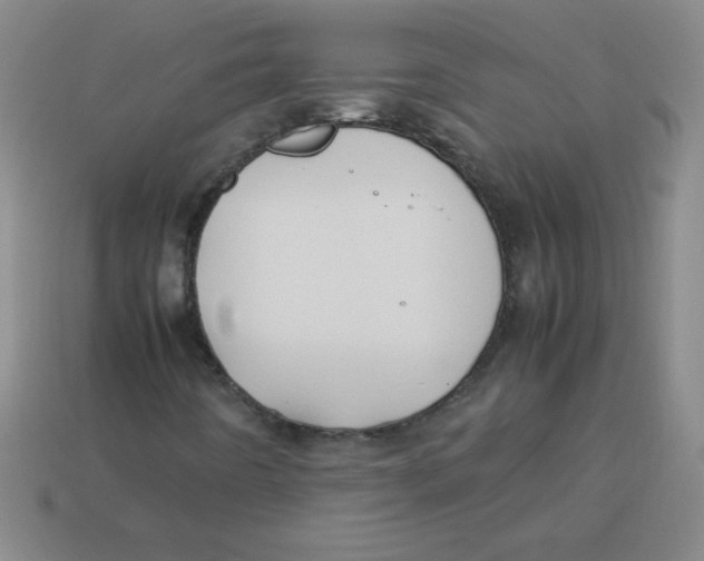X0000113891442200910221407