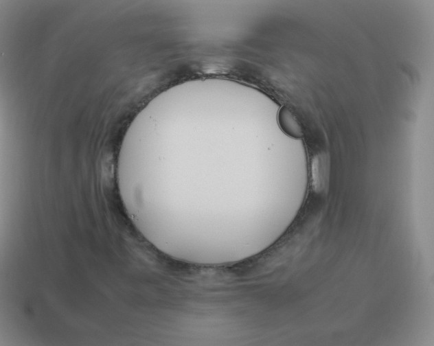 X0000113891443200910221407