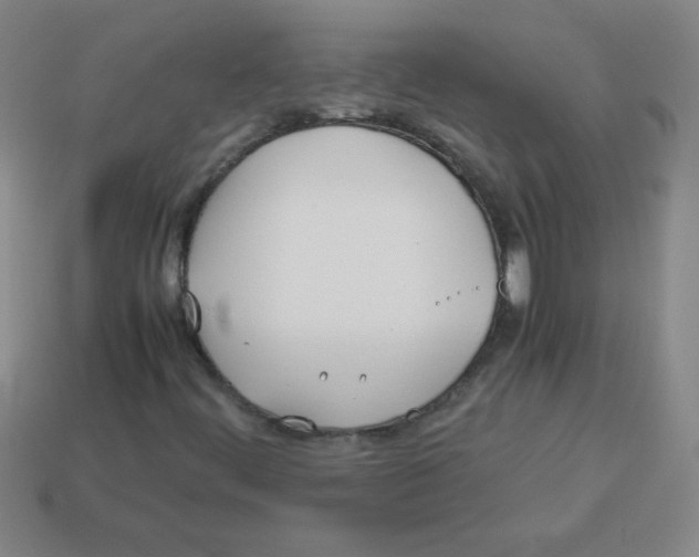 X0000113891444200910221407