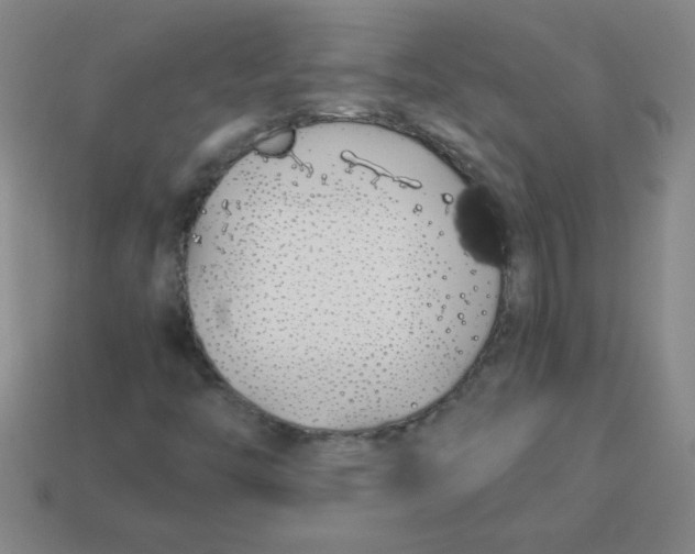 X0000113891446200910221407