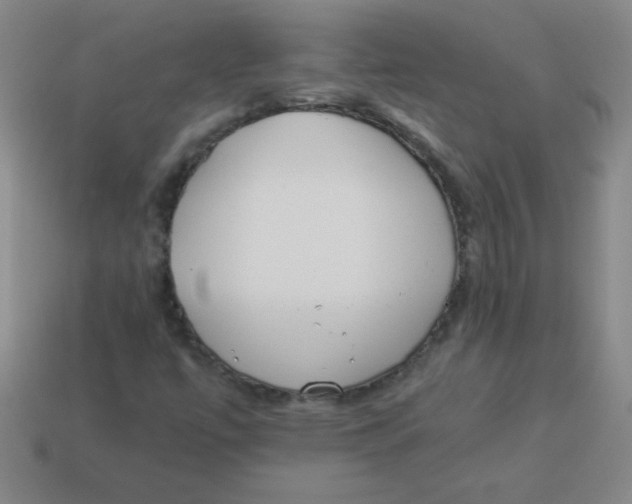 X0000113891447200910221407
