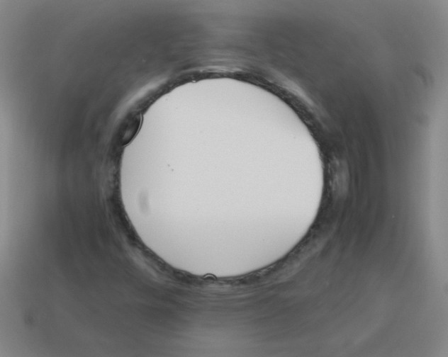 X0000113891448200910221407