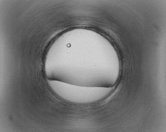 X0000113891449200910221407