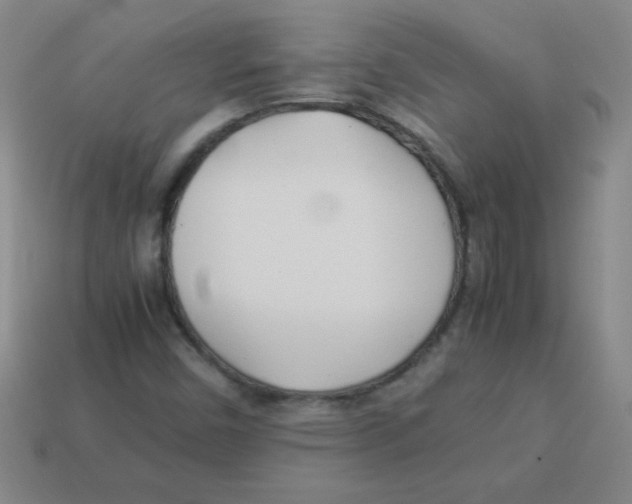 X0000113891450200910221407