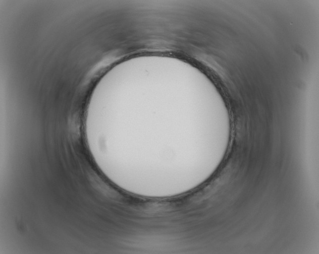 X0000113891451200910221407