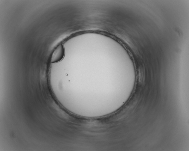 X0000113891452200910221407