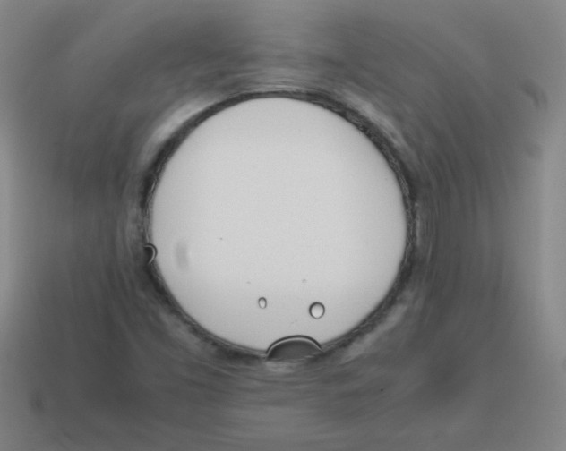 X0000113891453200910221407