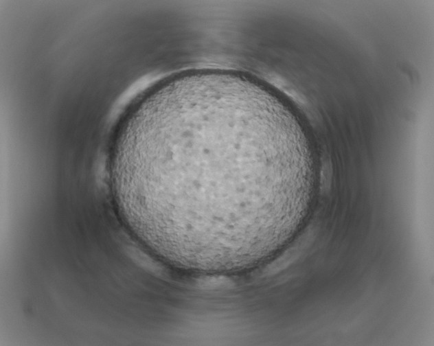 X0000113891454200910221407