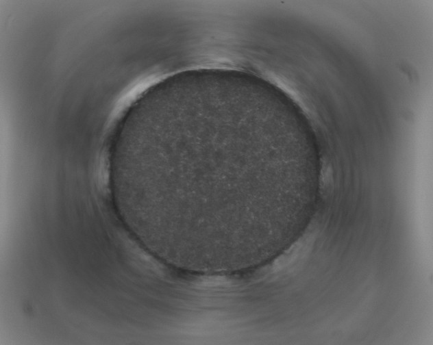 X0000113891455200910221407