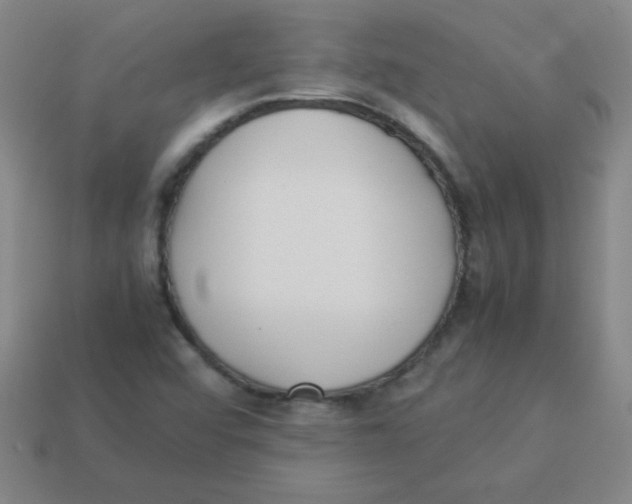 X0000113891456200910221407
