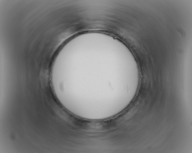 X0000113891457200910221407